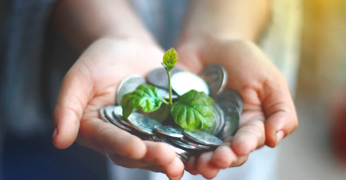 Come Risparmiare In Modo Sostenibile: 10 Idee Pratiche