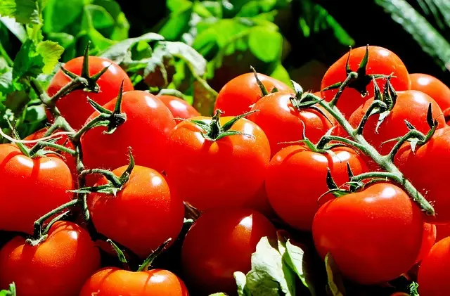 Come Risparmiare Sulla Spesa Alimentare: 10 Consigli Pratici