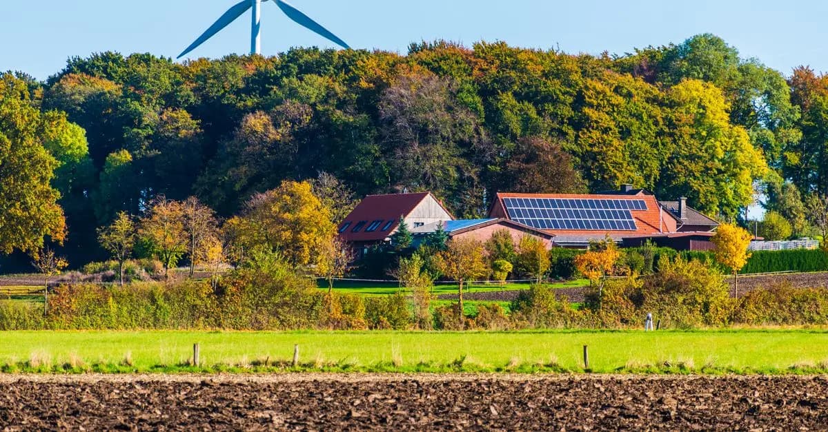 Come Risparmiare In Modo Eco-Friendly: 10 Idee Practiche