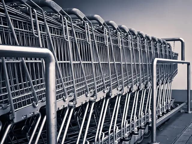 Come Risparmiare Tempo e Denaro nella Spesa Quotidiana