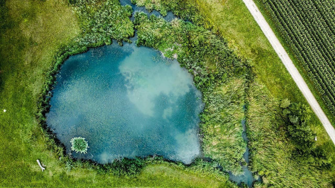 Come Risparmiare sui Costi di Affitto: 10 Consigli Utili